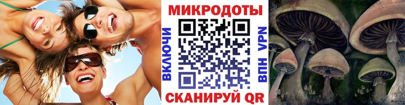 купить закладку  мориарти официальный сайт  hydra сайт  Псилоцибиновые грибы ЛСД  Балахна 